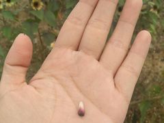 -武汉理工大学（南湖新校区）-图书馆