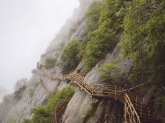 -陕西省红河谷森林公园