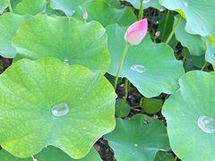 -成都银泰城