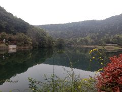 -桃花岭景区
