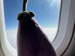 -常州奔牛国际机场