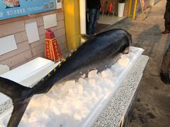 -清水湾3号(东方小周海鲜店)