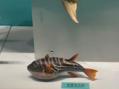 -天津自然博物馆