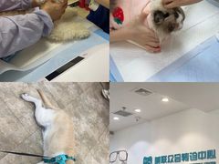 -美联众合动物医院·24h转诊中心