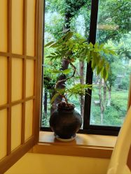 -太乙康·中式美养空间