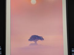 -罗红摄影艺术馆