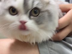 -嘉馨宠物医院·CT影像转诊·心脏科·犬猫全科诊疗中心(下沙大学城院区)