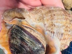 -木柴豆腐·活海鲜·鲁菜(岚山路店)