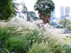 -墨尔本皇家植物园