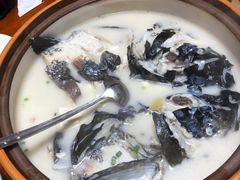 -全乐鱼馆·淳牌有机鱼直营店