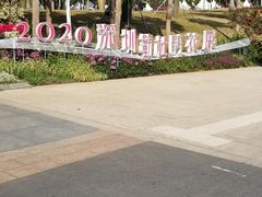 -莲花山公园