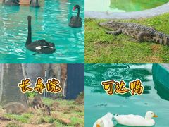 -福州罗源湾海洋世界旅游区