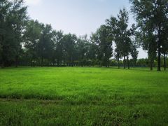 -东郊湿地公园
