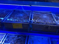 水产区-新海渔港·胶东海鲜家常菜·家宴(奥体中心店)