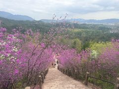 -天台山赤城山景区