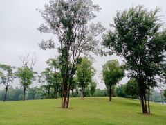 -盘龙城遗址博物院