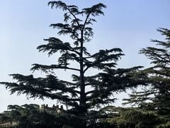 -北京市劳动人民文化宫(太庙)