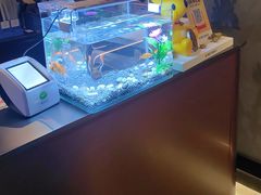-华夏良子·足道SPA艾灸(王府井店)