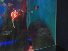 -石家庄海洋公园