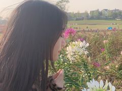 -花博汇(知音花月夜)