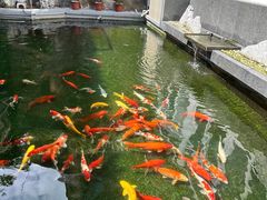 -南普陀素菜馆