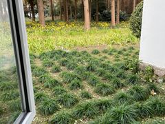 -上海怡沁园度假酒店