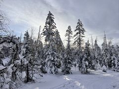 -雪谷