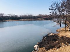 -大兴滨河森林公园