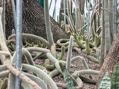 -南山植物园