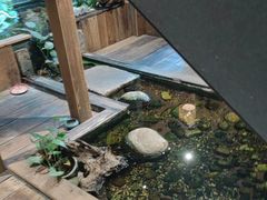 -邈墨茶馆(大兜路1号店)