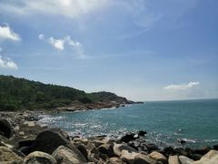 -广东惠东海龟国家级自然保护区