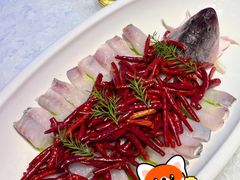 -百姓渔村(朝阳店)