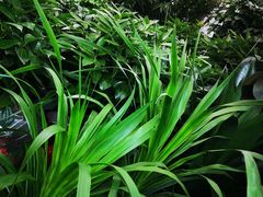 -秦美花卉(天朗·莱茵小城2期店)