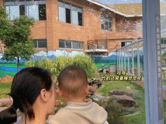 -苏州太湖国家湿地公园