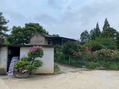 -天怡·鱼工厂(临江店)