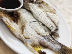 黄墙鱼饭-车头老二大排档