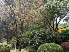 -龙头寺公园