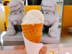 经典豆乳冰淇淋-维维豆奶(金鹰新街口店)