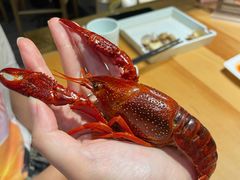 清蒸小龙虾-浙食逅·弄虾·融合菜·小龙虾(双城国际店)