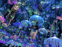 -天津梵高星空艺术馆(天河城旗舰店)