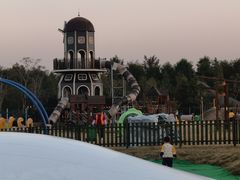 -上海长兴岛郊野公园