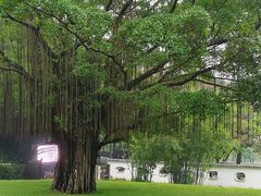 -广州雕塑公园