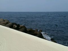 -龙头岩(Dragon Head Rock)
