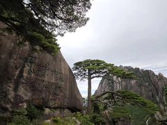 -黄山风景区