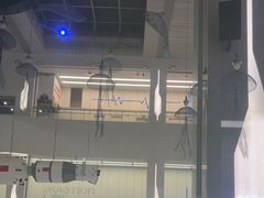 -厦门诚毅自然探索馆