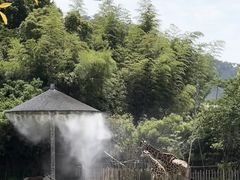 -宁波野生动物园