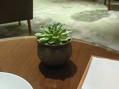 -北京望京凯悦酒店The Lounge大堂酒廊