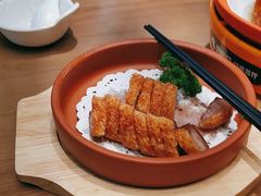 -阿皇仔烧鹅(麦地店)