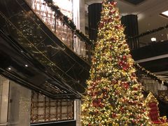 -上海苏宁宝丽嘉酒店·嘉府壹号中餐厅
