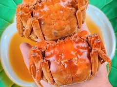 -老吉堂上海本帮菜(工体店)